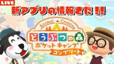 【ポケ森】新アプリの情報についてお話しようLIVE配信！【どうぶつの森ポケットキャンプ】