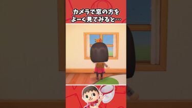 雨の日に窓を見ると…【あつ森】【あつまれ どうぶつの森】【細かすぎる小ネタ】