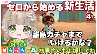 【あつ森】今から始める あつまれどうぶつの森 無人島 新生活 あつ森ライブ配信「4」あつ森離島ガチャ  #animalcrossing  #あつ森Vtuber #vtuberちっち #あつ森ちっち