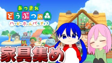 【あつまれどうぶつの森】まったりゆったり雑談しながらリハビリ配信～【DLC】