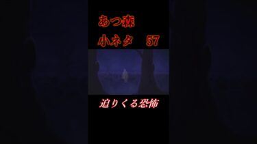 【あつ森】※閲覧注意？ 知ってた？　あつ森小ネタ集⑤⑦　あの壁紙にまつわる怖いお話…