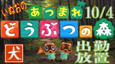 24.10.04 【あつまれどうぶつの森】いぬお出勤中放置配信 初見歓迎