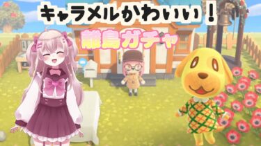 【新人Vtuber】新住民離島ガチャ！！！キャラメル狙いでめげずに頑張るぞ〜！【あつ森】