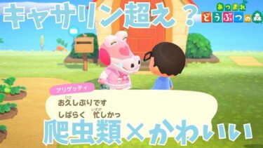 【ゲーム実況】名前が全然思い出せないあつ森キャラと久しぶりに会う【マイル稼ぎ】