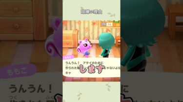 【あつ森】喧嘩の理由がやばかったｗ #あつ森 #ゲーム実況 #女性ゲーム実況