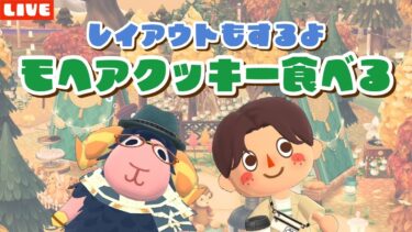 【ポケ森】ナチュラルデザインが可愛い！モヘアの新クッキー食べるLIVE配信！【どうぶつの森ポケットキャンプ】