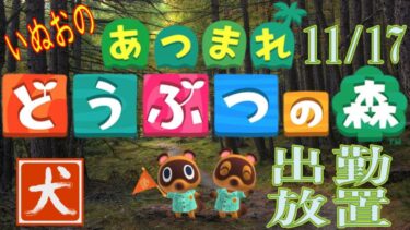 24.11.17 【あつまれどうぶつの森(Animal Crossing)】いぬお出勤中放置配信 初見歓迎