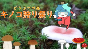 キノコ狩りの季節到来‼‼【どうぶつの森配信】