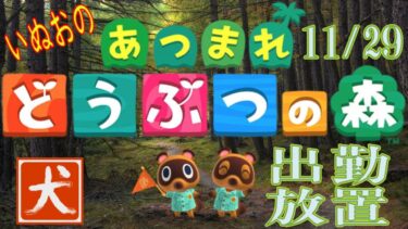 24.11.29 【あつまれどうぶつの森(Animal Crossing)】いぬお出勤中放置配信 初見歓迎