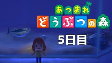 のんびりあつ森 5日目【あつまれ どうぶつの森】