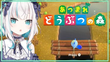 【どうぶつの森】にじイカ祭り2024 おつかれさまでした！【アルス・アルマル/にじさんじ】