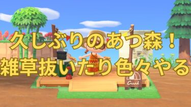 【あつ森】雑草抜いたりしながら、雑談する（出来るとは言ってない）