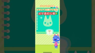 【ポケ森】生配信準備中 #shorts #ポケ森 #どうぶつの森ポケットキャンプ #ゲーム実況